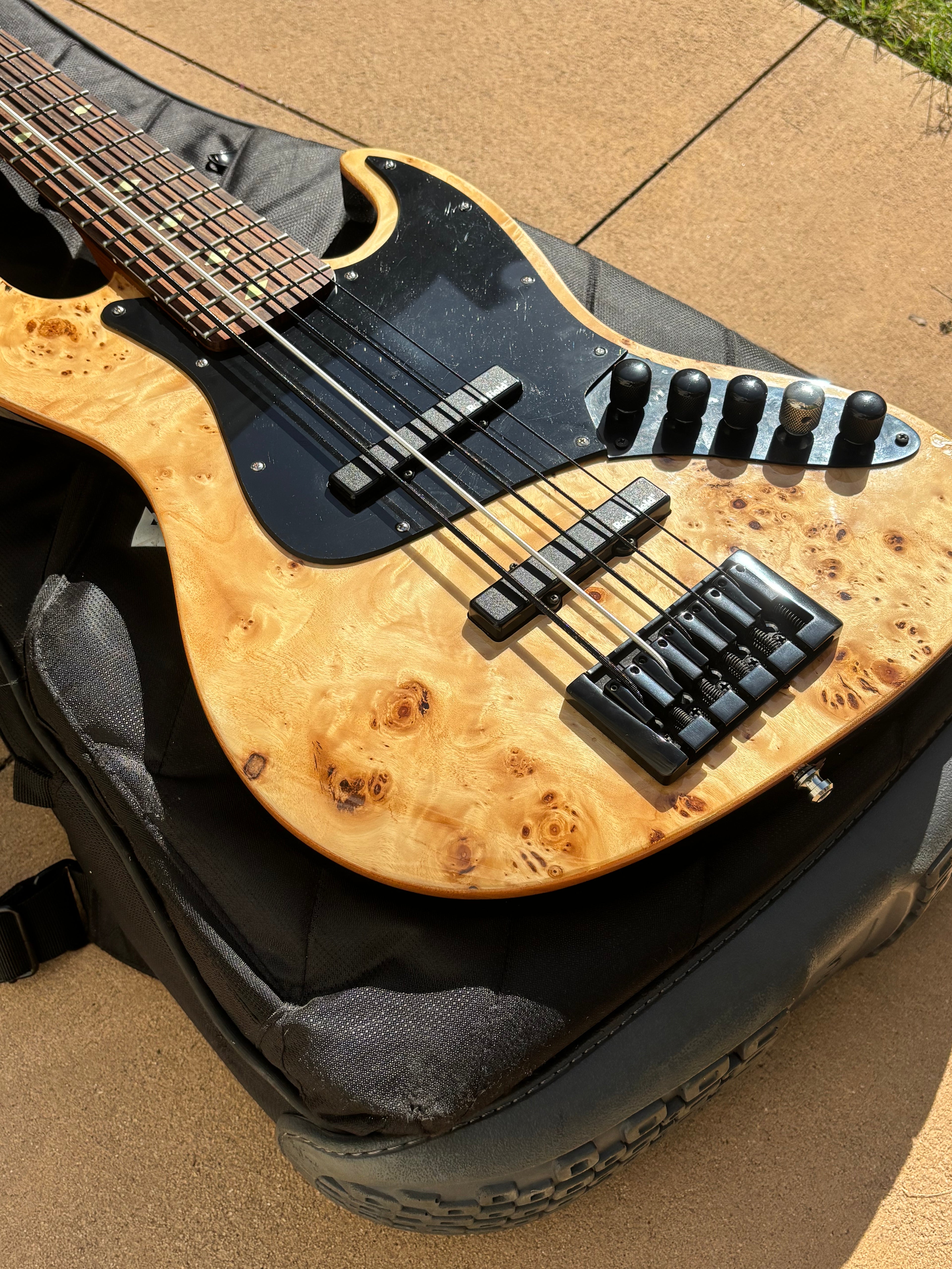 (Used) Michael Kelly Custom Collection Element 5R 5-String Bass Guitar