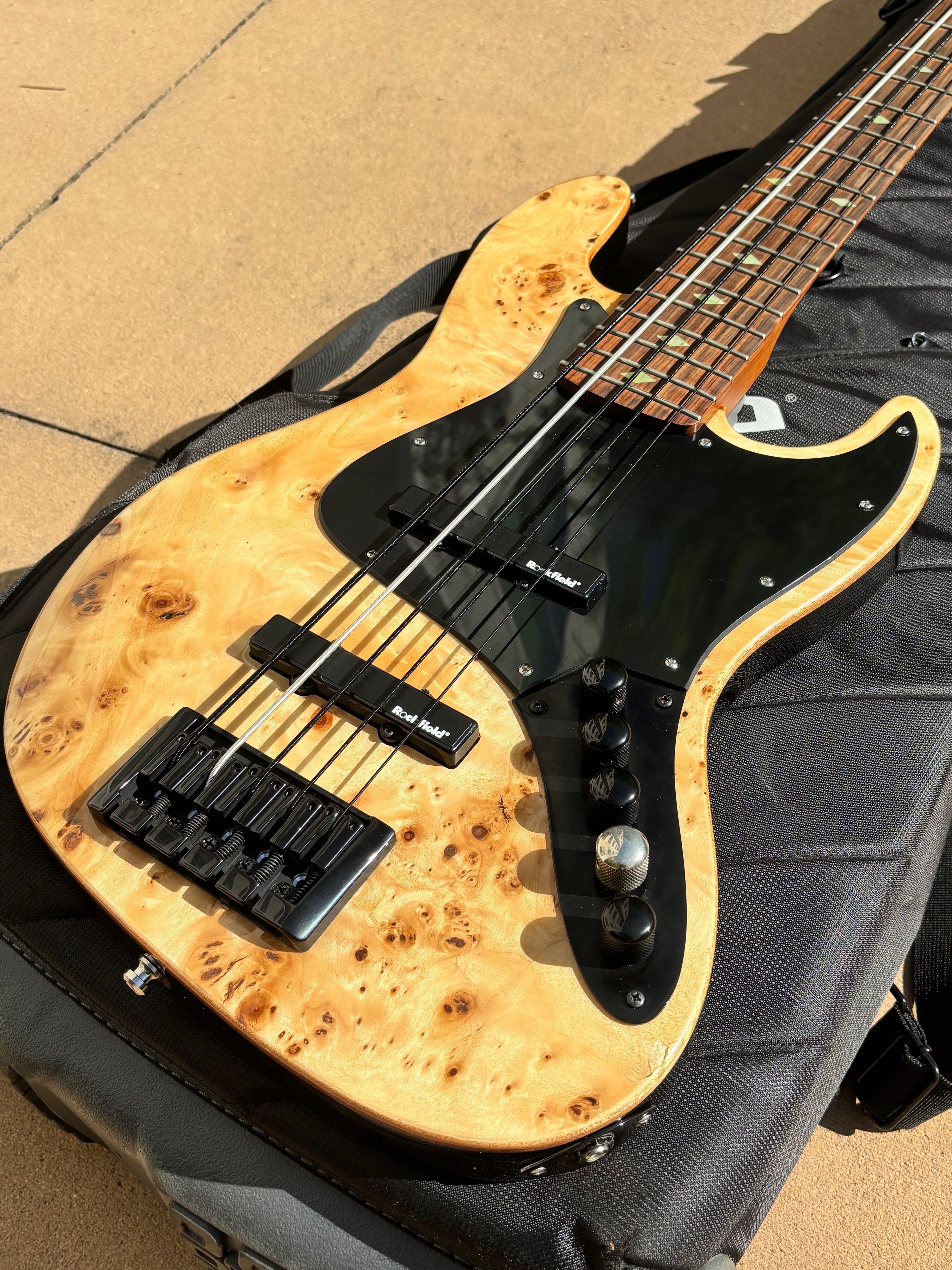 (Used) Michael Kelly Custom Collection Element 5R 5-String Bass Guitar